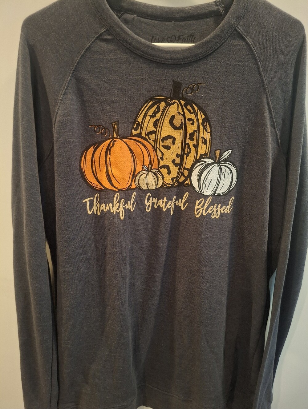 Thankful Grateful Blessed Women's Long-Sleeve Pumpkin Tee - Gray